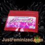 Jet 47 Auto Flash Seeds Souvenir Marijuana Seeds Original Breeder Packaging