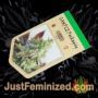 Amnesia Lemon Kush Garden of Green Souvenir Marijuana Seeds Original Breeder Packaging