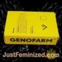 Black Diesel by Genofarm Souvenir Marijuana Seeds Original Breeder Packaging