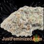 Brains Choice by KC Brains Seeds Buds Weed Ganja Skunk Pot Reefer Dope Herb Pics Images