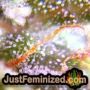 California Gold by Paradise Seeds THC CBD Close Up Trichomes Potency Yield Indica Sativa Strain Pic Images