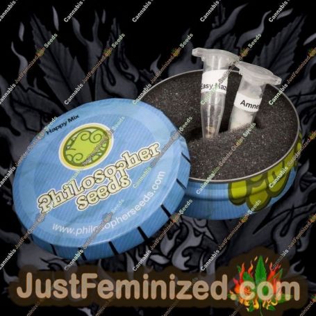 Happy Mix by Philosopher Seeds Cannabis Seeds For Sale at Just Feminized