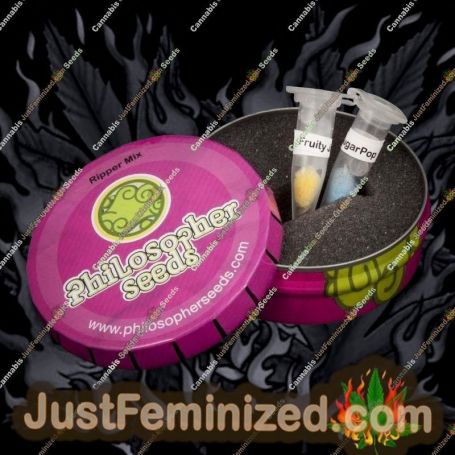 Ripper Mix by Philosopher Seeds Cannabis Seeds For Sale at Just Feminized