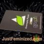 Do Si Dos by Pyramid Seeds Souvenir Marijuana Seeds Original Breeder Packaging