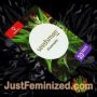 Critical Purple Kush by Seedsman Souvenir Marijuana Seeds Original Breeder Packaging