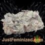 Blue Cheese by Super CBDx Buds Weed Ganja Skunk Pot Reefer Dope Herb Pics Images