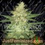 Coffee Ryder Auto by World of Seeds Cannabis Seeds For Sale at Just Feminized