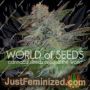 Yumbolt 47 by World of Seeds Cannabis Seeds For Sale at Just Feminized