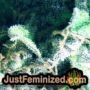 Yumbolt 47 by World of Seeds THC CBD Close Up Trichomes Potency Yield Indica Sativa Strain Pic Images