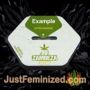 Green AK XL by Zambeza Seeds Souvenir Marijuana Seeds Original Breeder Packaging
