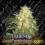 Legends Gold by Big Buddha Seeds Cannabis Seeds For Sale at Just Feminized