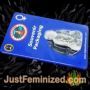 Silver Cheese by Big Buddha Seeds Souvenir Marijuana Seeds Original Breeder Packaging