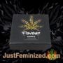Pink Runtz by Flavour Chasers Souvenir Marijuana Seeds Original Breeder Packaging
