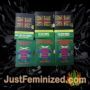 Girl Scout Jones Connoisseur Genetics Souvenir Marijuana Seeds Original Breeder Packaging