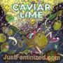 Caviar Lime by Grounded Genetics Cannabis Seeds For Sale at Just Feminized