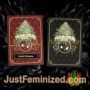 Sunset Flame by Pot Valley Seeds Souvenir Marijuana Seeds Original Breeder Packaging