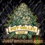 Strawberry Zee by Pot Valley Seeds Cannabis Seeds For Sale at Just Feminized