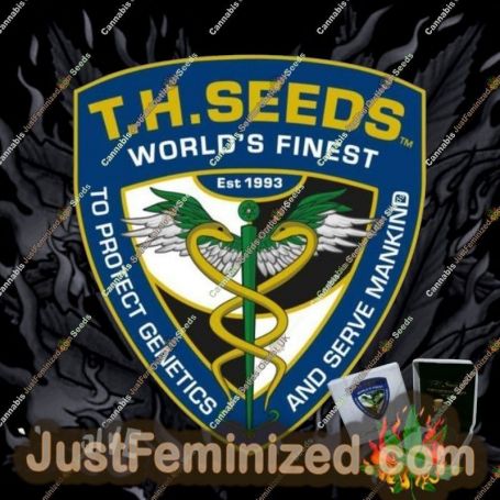 Zendu Kush by TH Seeds Cannabis Seeds For Sale at Just Feminized