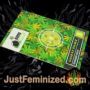 THC Bomb Bomb Seeds Souvenir Marijuana Seeds Original Breeder Packaging