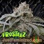 Frosteez by Frosteez Farmz Cannabis Seeds For Sale at Just Feminized