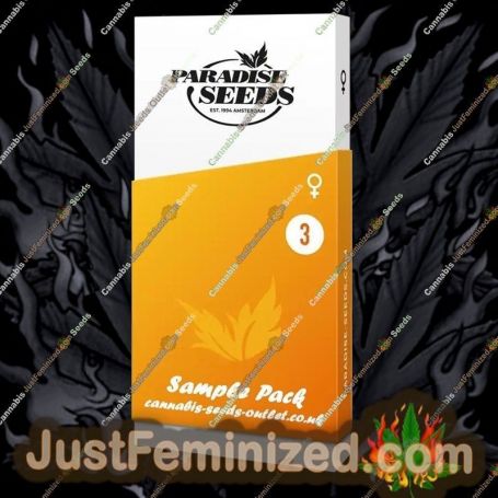 Divine by Paradise Seeds Cannabis Seeds For Sale at Just Feminized