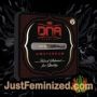 Kosher Pie by DNA Genetics Souvenir Marijuana Seeds Original Breeder Packaging
