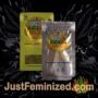 Mac N Cheese Big Buddha Family Farm Souvenir Marijuana Seeds Original Breeder Packaging