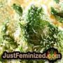 Terp Tonic Auto by Seed Stockers THC CBD Close Up Trichomes Potency Yield Indica Sativa Strain Pic Images