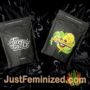 Rainbow MelonZ by Terp Treez Seeds Souvenir Marijuana Seeds Original Breeder Packaging
