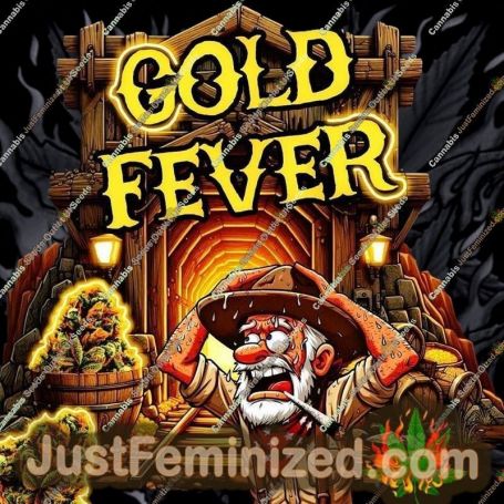 Gold Fever by Holy Smoke Seeds Cannabis Seeds For Sale at Just Feminized