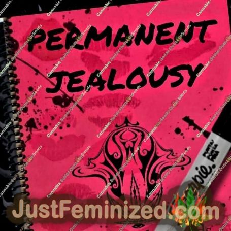 Семена конопли Permanent Jealousy от Holy Smoke Seeds продаются в Just Feminized