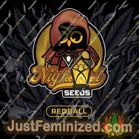 Redball Auto by Night Owl Cannabis Seeds For Sale at Just Feminized