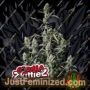 Gorilla Zkittlez Auto by Fast Buds Cannabis Seeds Discounted Cheapest Online