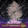 Blueberry by Bigger Stronger Faster Marijuana Strain For Sale at Just Feminized Cannabis Seeds Bank
