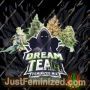 Dream Team Fem Mix by Bigger Stronger Faster Marijuana Strain For Sale at Just Feminized Cannabis Seeds Bank