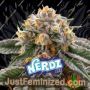 Nerdz by Bigger Stronger Faster Marijuana Strain For Sale at Just Feminized Cannabis Seeds Bank