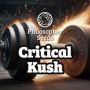 Critical Kush by Philosopher Seeds Marijuana Strain For Sale at Just Feminized Cannabis Seeds Bank
