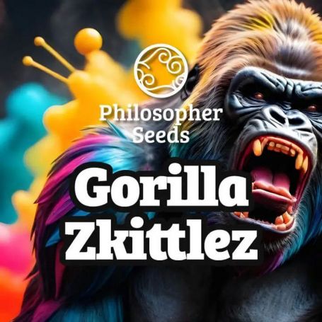 Gorilla Zkittles by Philosopher Seeds Marijuana Strain For Sale at Just Feminized Cannabis Seeds Bank