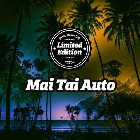 Mai Tai Auto by Philosopher Seeds Marijuana Strain For Sale at Just Feminized Cannabis Seeds Bank