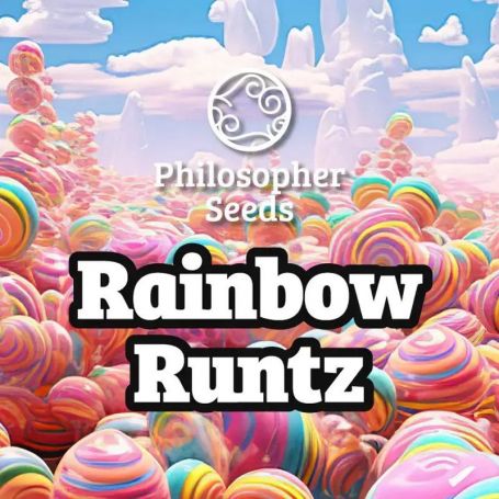 Rainbow Runtz by Philosopher Seeds Marijuana Strain For Sale at Just Feminized Cannabis Seeds Bank