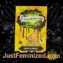 Sticky Zkittles Glue Cream of the Crop Souvenir Marijuana Seeds Original Breeder Packaging