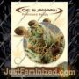 Intense Skunk by De Sjamaan Seeds Cannabis Seeds For Sale at Just Feminized