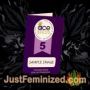 Killer A5 Haze by Ace Seeds Souvenir Marijuana Seeds Original Breeder Packaging
