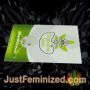 Clinical Mass Auto Dispensario Seeds Souvenir Marijuana Seeds Original Breeder Packaging