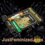 New York Diesel Auto Expert Seeds Souvenir Marijuana Seeds Original Breeder Packaging