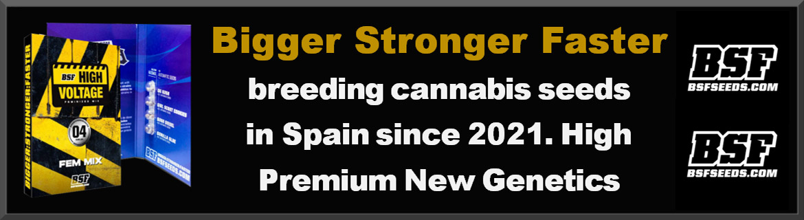 Bigger Stronger Faster Cannabis Seeds Available to buy at Just Feminized Seed Bank