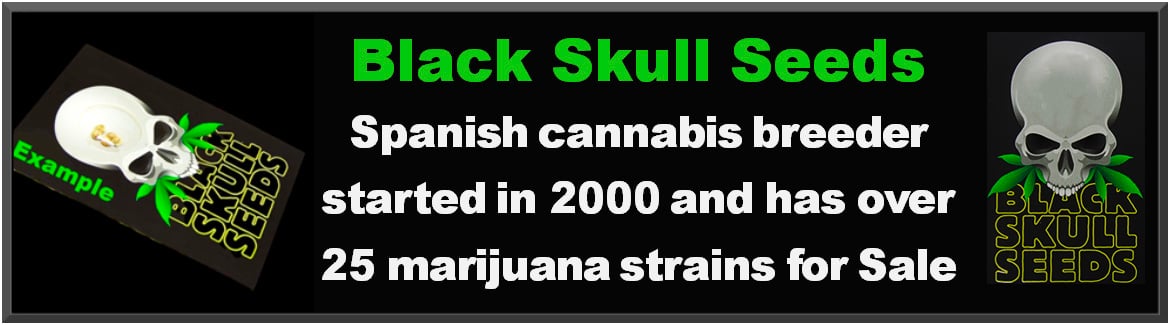 Buy Black Skull Cannabis Strains at Just Feminized Marijuana Seeds Bank - For Sale Cheap Online