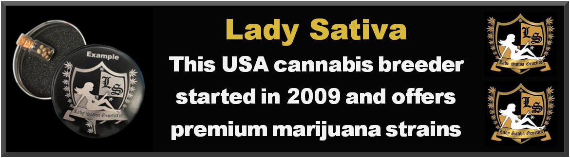 Buy Lady Sativa Cannabis Strains at Just Feminized Marijuana Seeds Bank - For Sale Cheap Online