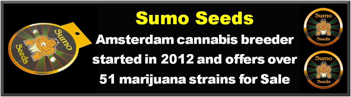 Buy Sumo Cannabis Strains at Just Feminized Marijuana Seeds Bank - For Sale Cheap Online
