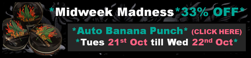 Auto Banana Punch Midweek Madness 21st October till the 22nd October 2025 Discounted 33% OFF